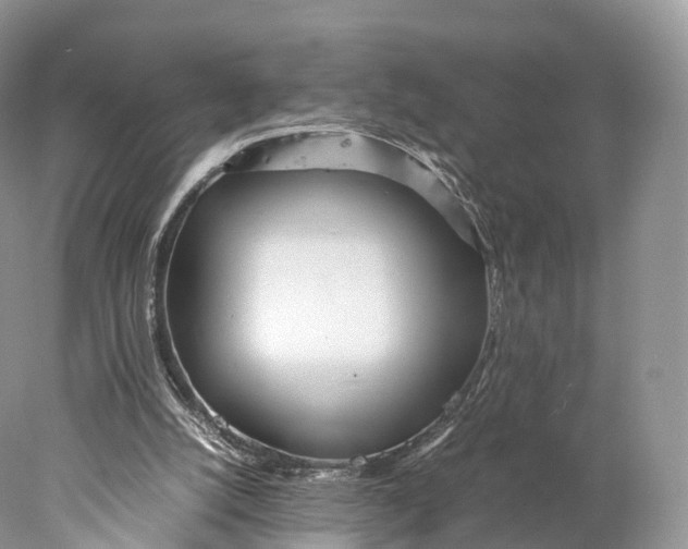 X0000077990056200611171805