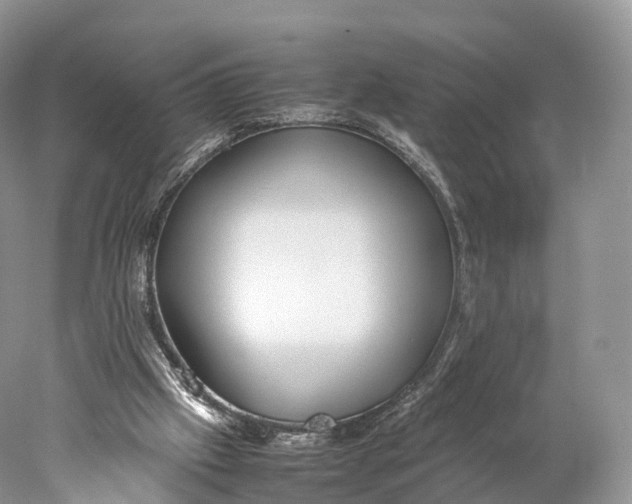 X0000077990057200611171805