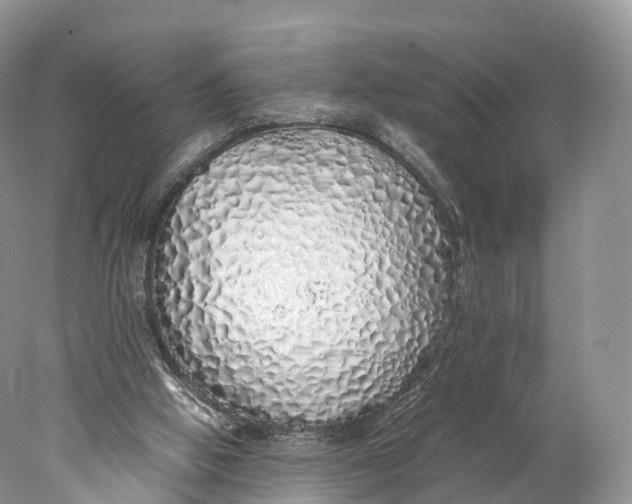 X0000077990058200611171805