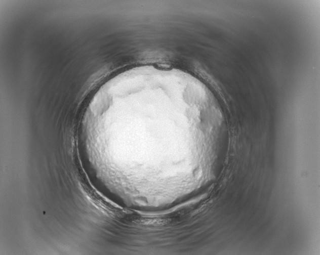 X0000077990059200611171805