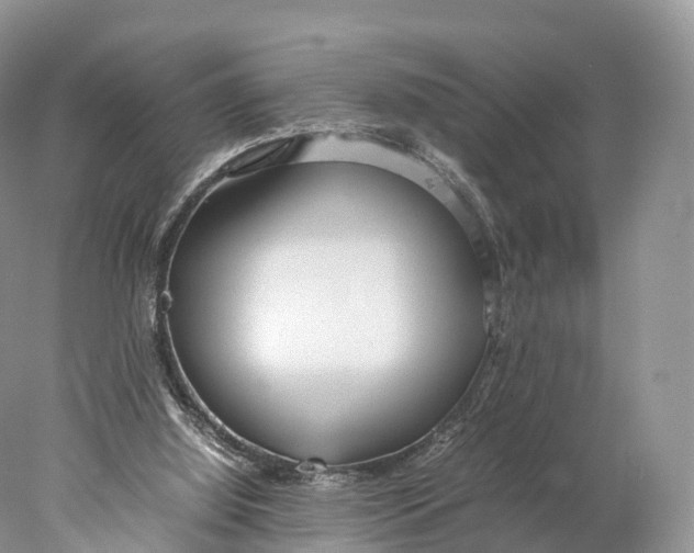 X0000077990060200611171805