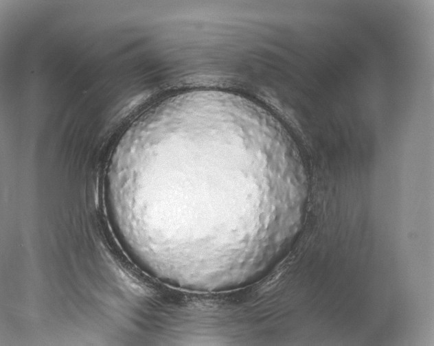 X0000077990062200611171805