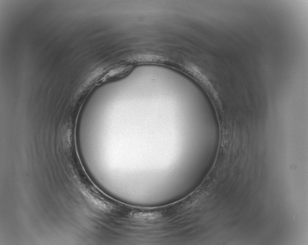 X0000077990063200611171805