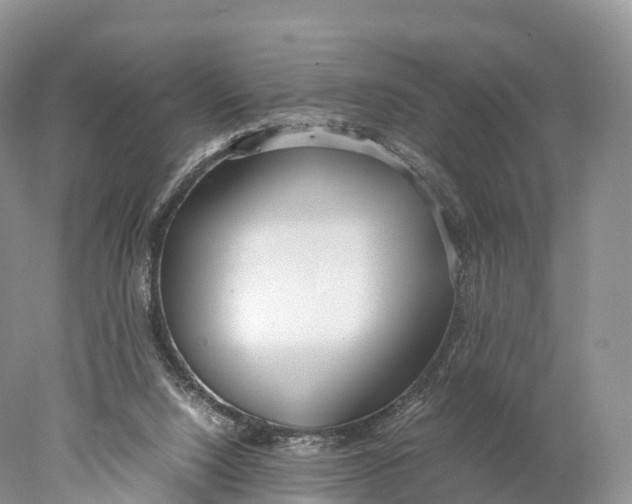 X0000077990064200611171805