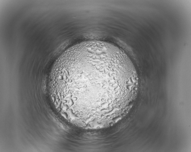 X0000077990065200611171805