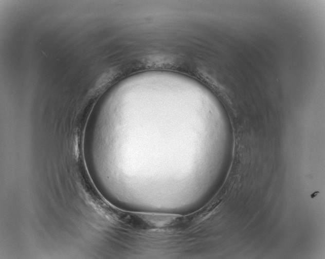 X0000077990067200611171805