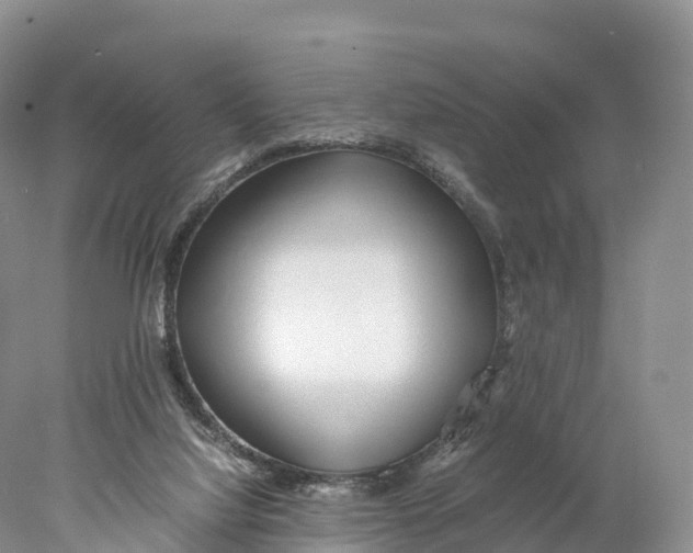 X0000077990068200611171805