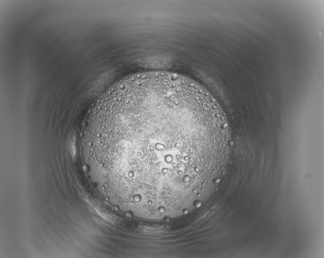 X0000077990069200611171805