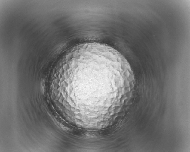 X0000077990070200611171805