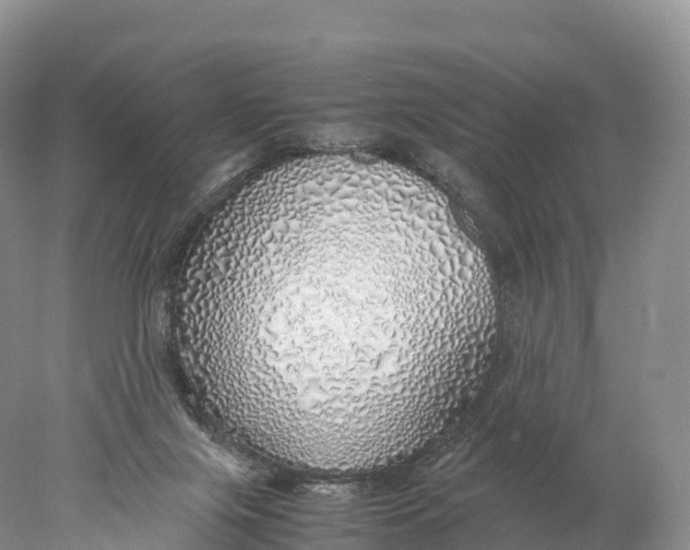 X0000077990071200611171805