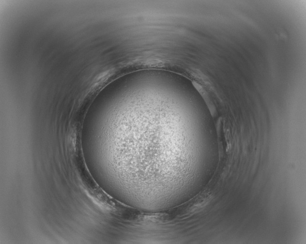 X0000077990072200611171805