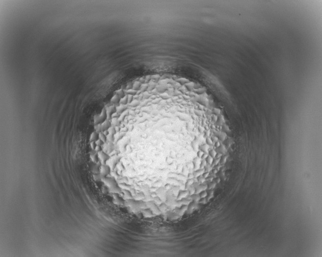 X0000077990073200611171805