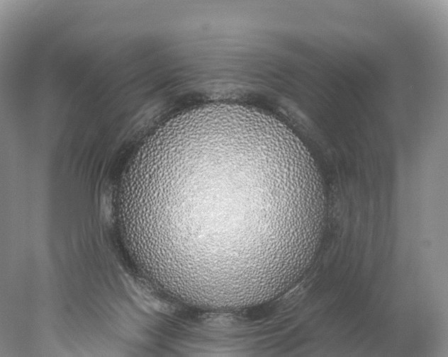 X0000077990074200611171805