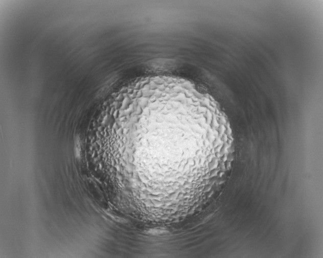 X0000077990075200611171805