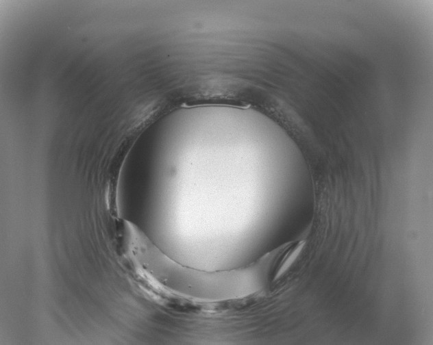 X0000077990076200611171805