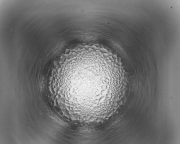 X0000077990077200611171805