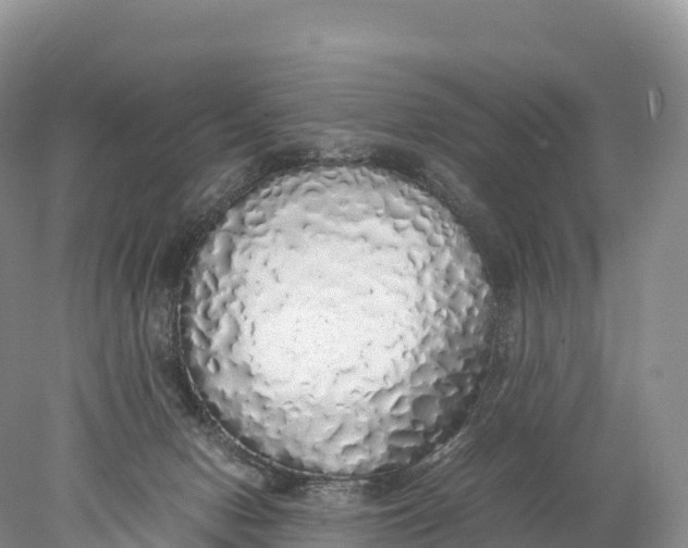 X0000077990078200611171805