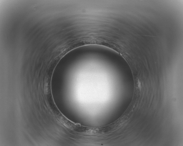 X0000077990080200611171805