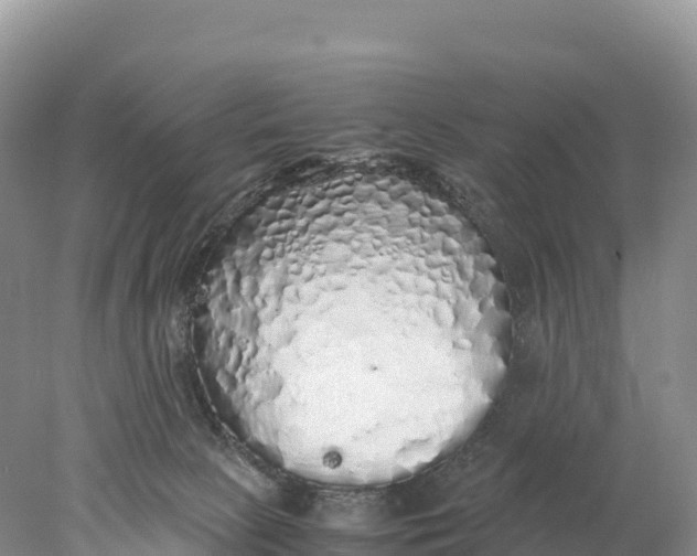 X0000077990081200611171805