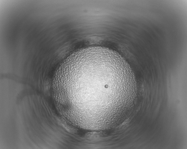 X0000077990082200611171805