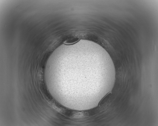 X0000077990083200611171805