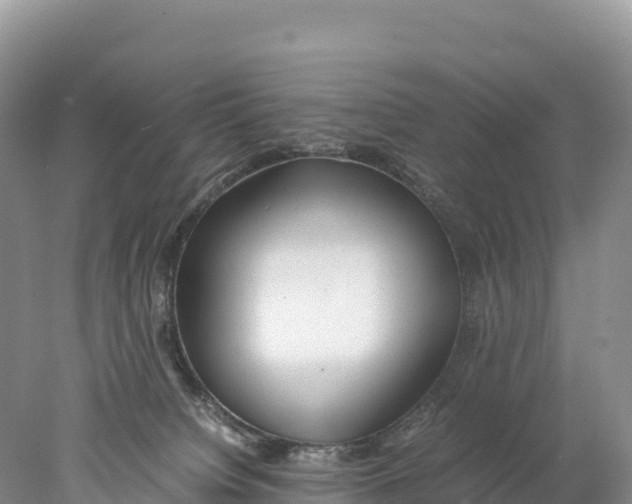 X0000077990084200611171805