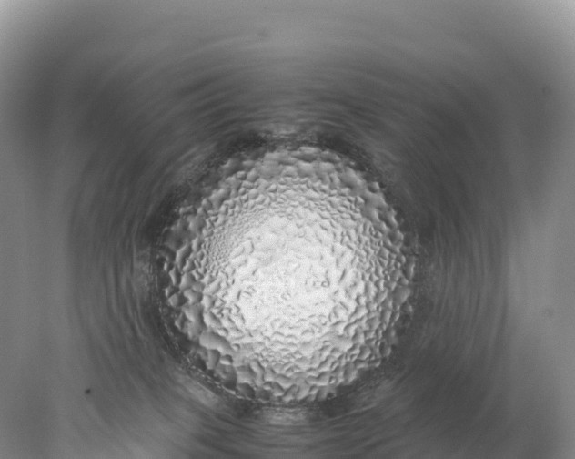 X0000077990085200611171805