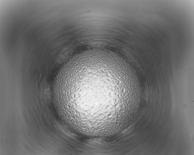 X0000077990086200611171805