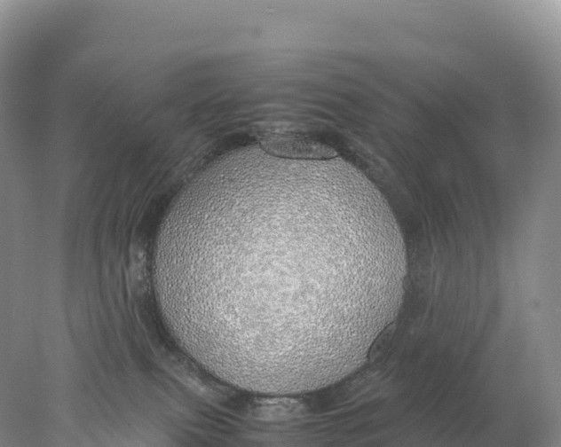 X0000077990087200611171805