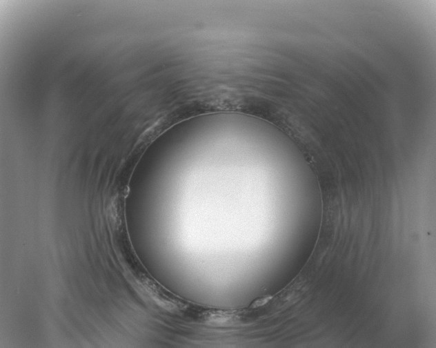 X0000077990088200611171805