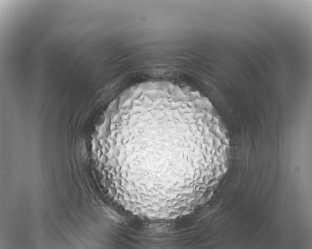 X0000077990089200611171805