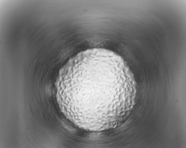 X0000077990090200611171806