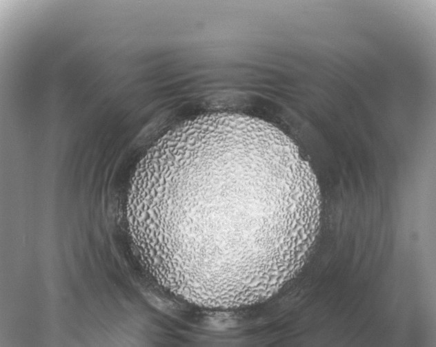 X0000077990091200611171806