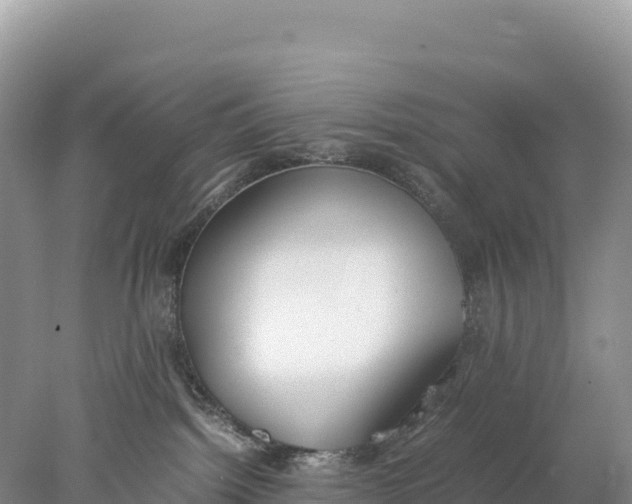 X0000077990092200611171806