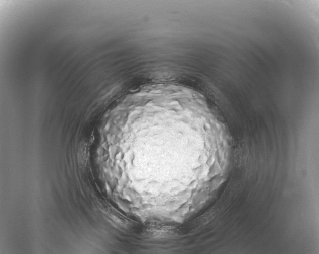 X0000077990093200611171806