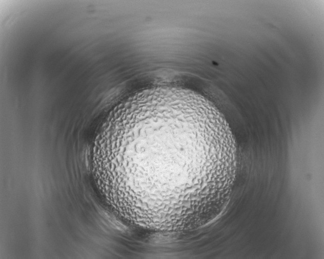 X0000077990094200611171806