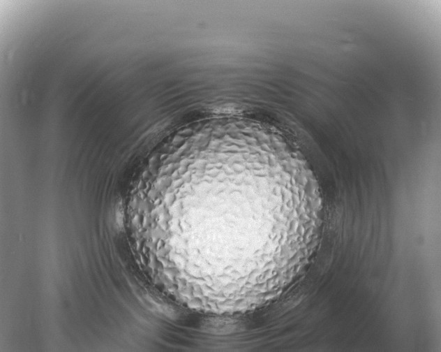 X0000077990095200611171806