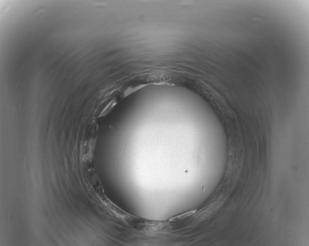 X0000077990096200611171806