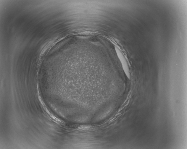 X0000077990097200611171805