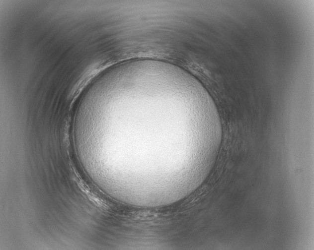 X0000077990098200611171805