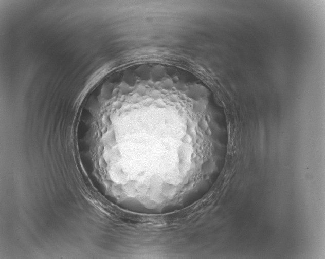 X0000077990099200611171805