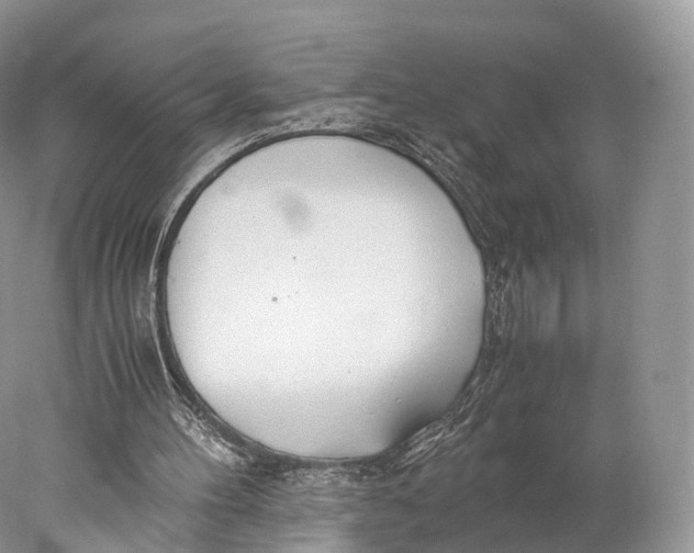 X0000077990100200611171805