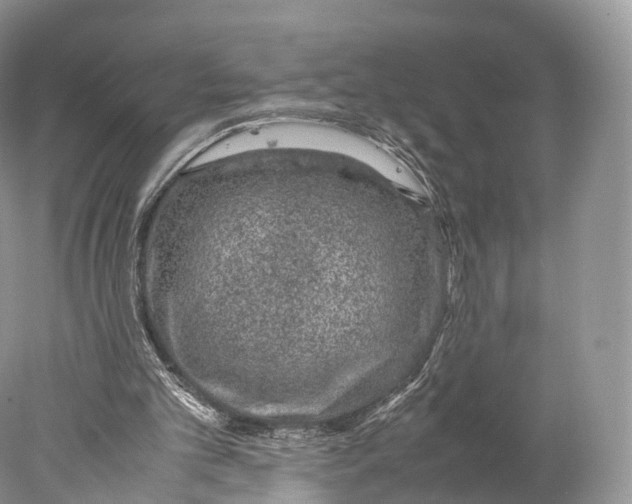 X0000077990101200611171805