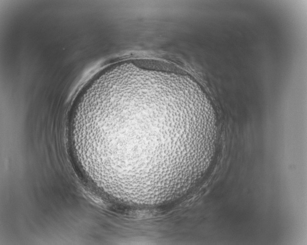 X0000077990103200611171805