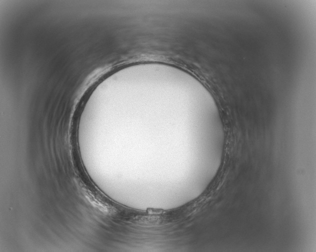 X0000077990104200611171805