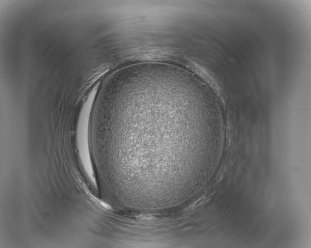 X0000077990105200611171805