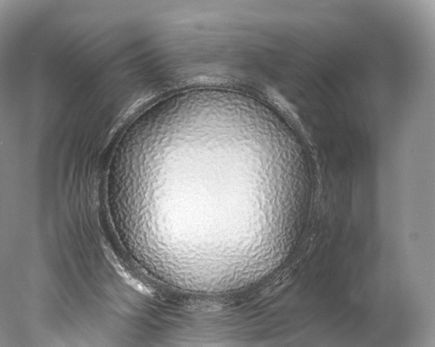 X0000077990106200611171805