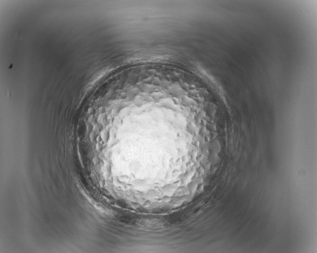 X0000077990107200611171805