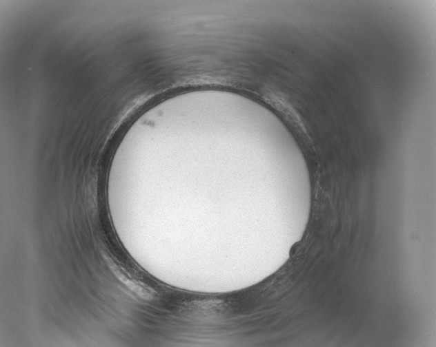 X0000077990108200611171805