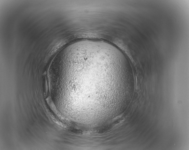 X0000077990109200611171805